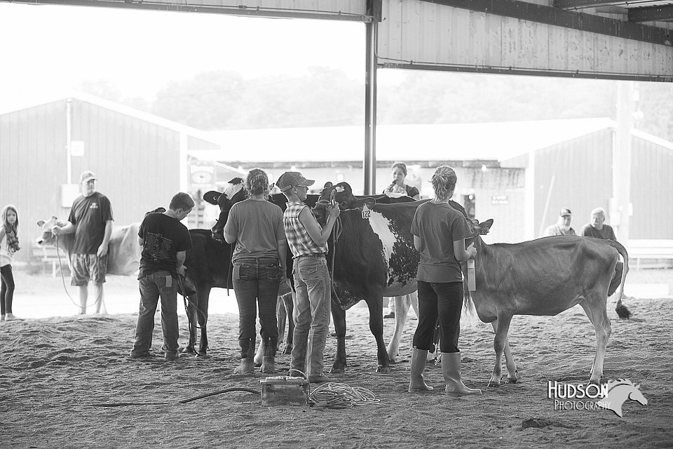 LCFair2016-0945.jpg