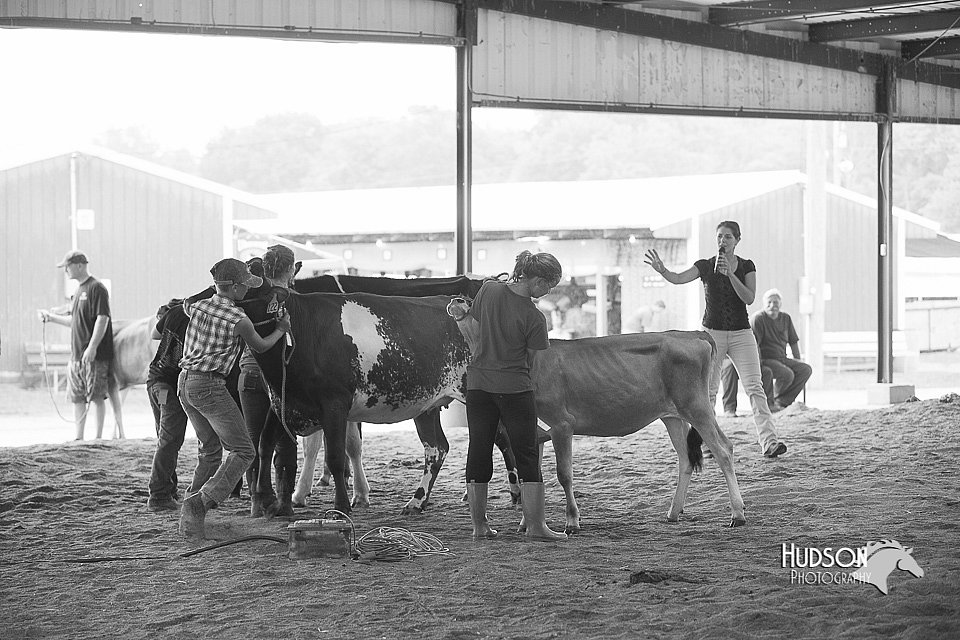 LCFair2016-0946.jpg