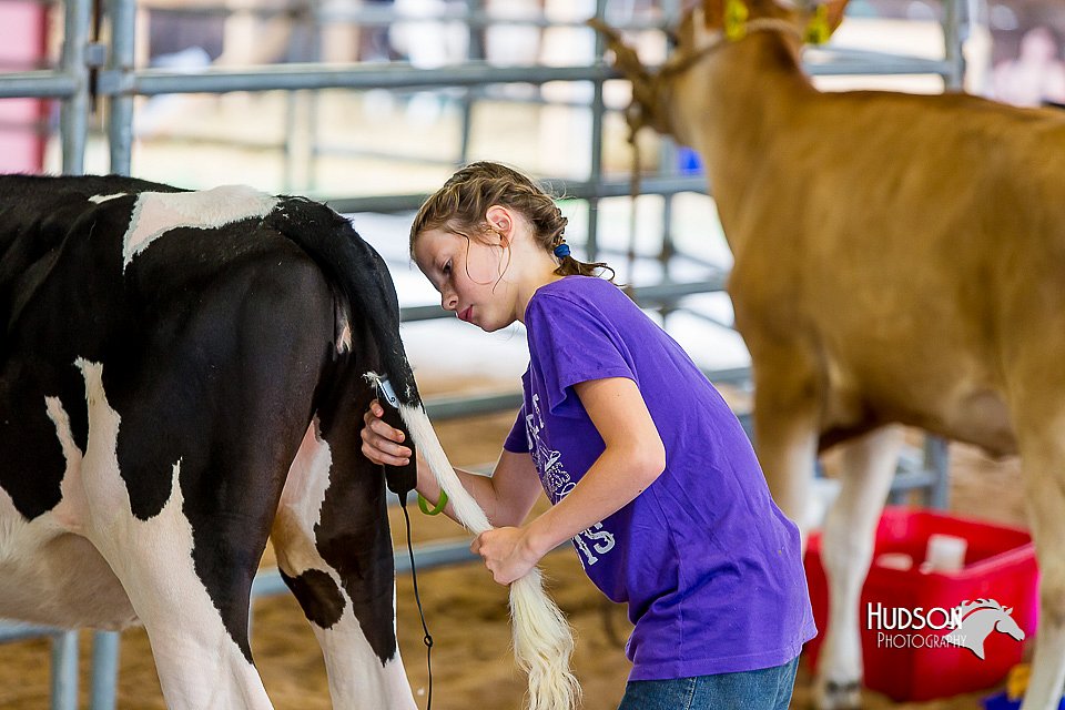 LCFair2016-0948.jpg