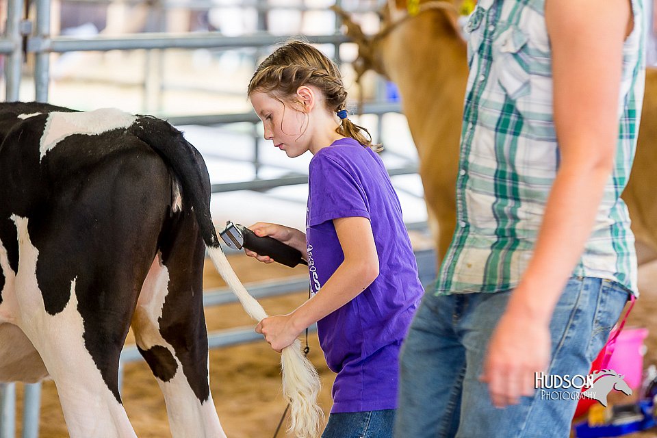 LCFair2016-0949.jpg