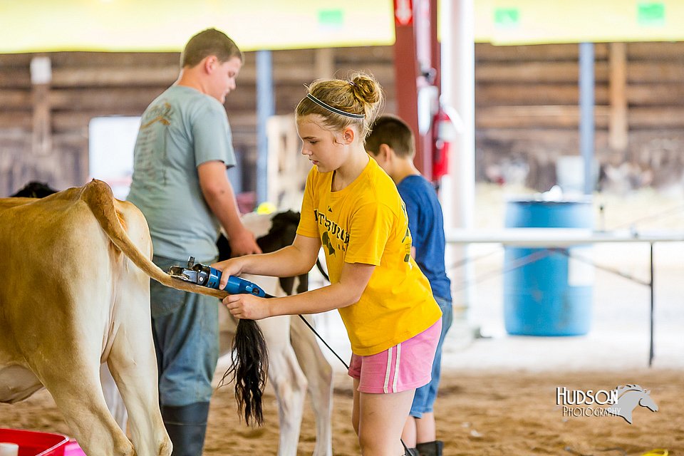 LCFair2016-0950.jpg
