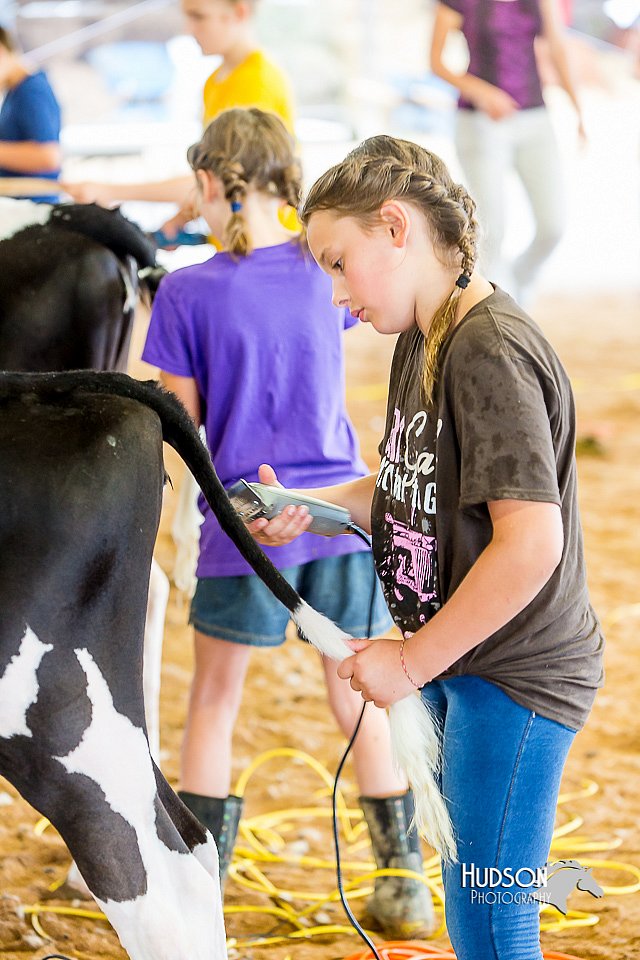 LCFair2016-0953.jpg