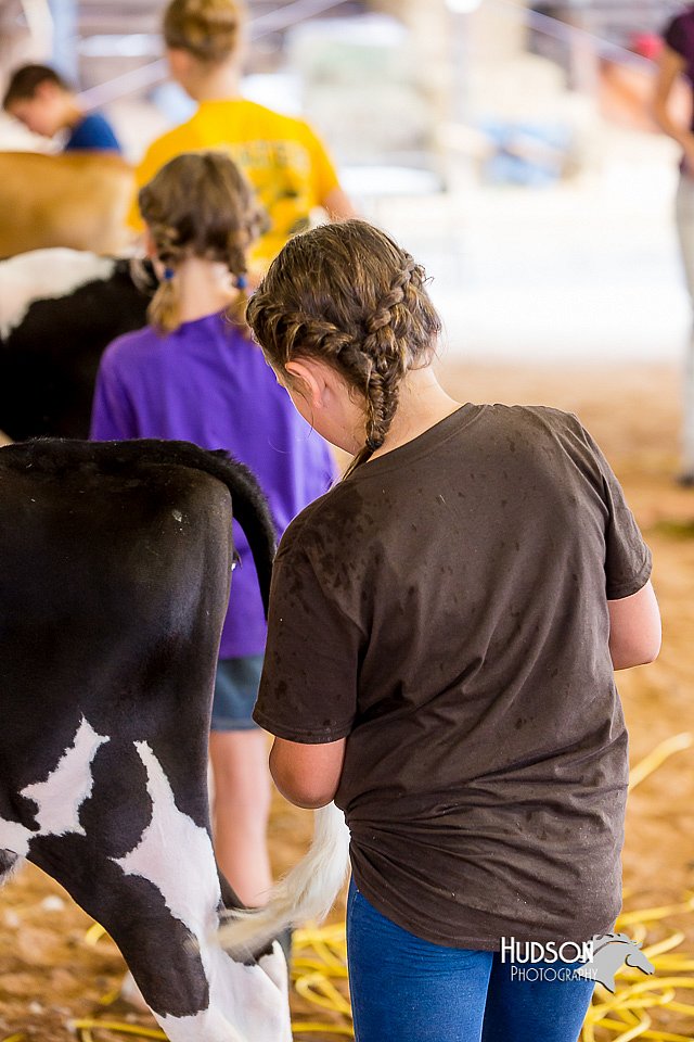 LCFair2016-0954.jpg