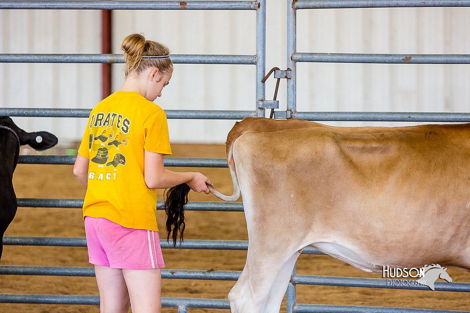 LCFair2016-0974.jpg