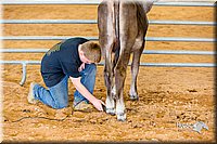 LCFair2016-0910.jpg