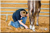 LCFair2016-0912.jpg