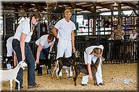 LCFair2016-0927.jpg