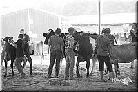 LCFair2016-0942.jpg