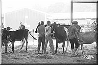 LCFair2016-0943.jpg