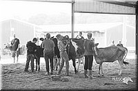 LCFair2016-0944.jpg