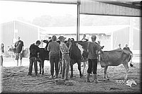 LCFair2016-0945.jpg
