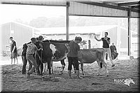 LCFair2016-0946.jpg