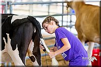 LCFair2016-0947.jpg