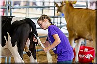 LCFair2016-0948.jpg