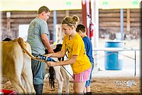 LCFair2016-0950.jpg