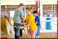 LCFair2016-0951.jpg