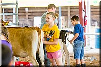 LCFair2016-0952.jpg