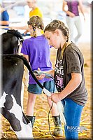 LCFair2016-0953.jpg