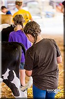 LCFair2016-0954.jpg