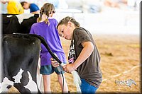 LCFair2016-0955.jpg