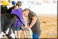 LCFair2016-0956.jpg