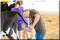 LCFair2016-0957.jpg
