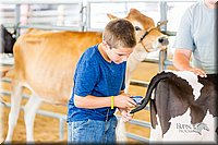 LCFair2016-0962.jpg