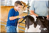 LCFair2016-0964.jpg