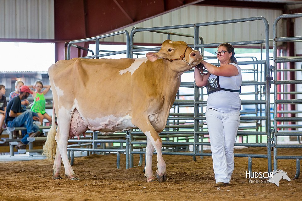 LCFair2016-1060.jpg