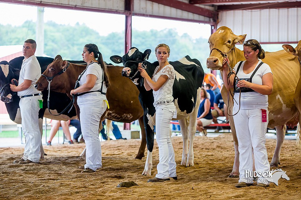 LCFair2016-1075.jpg