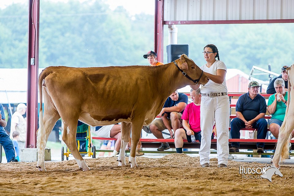 LCFair2016-1084.jpg
