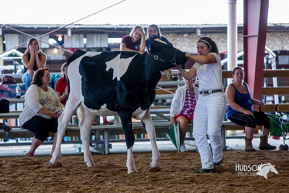LCFair2016-1105.jpg