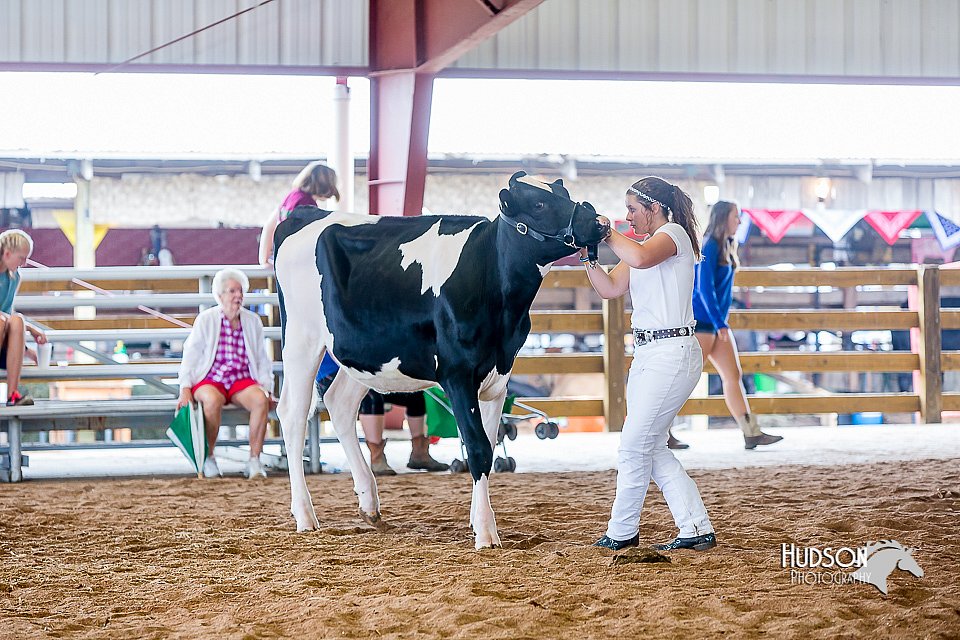 LCFair2016-1106.jpg