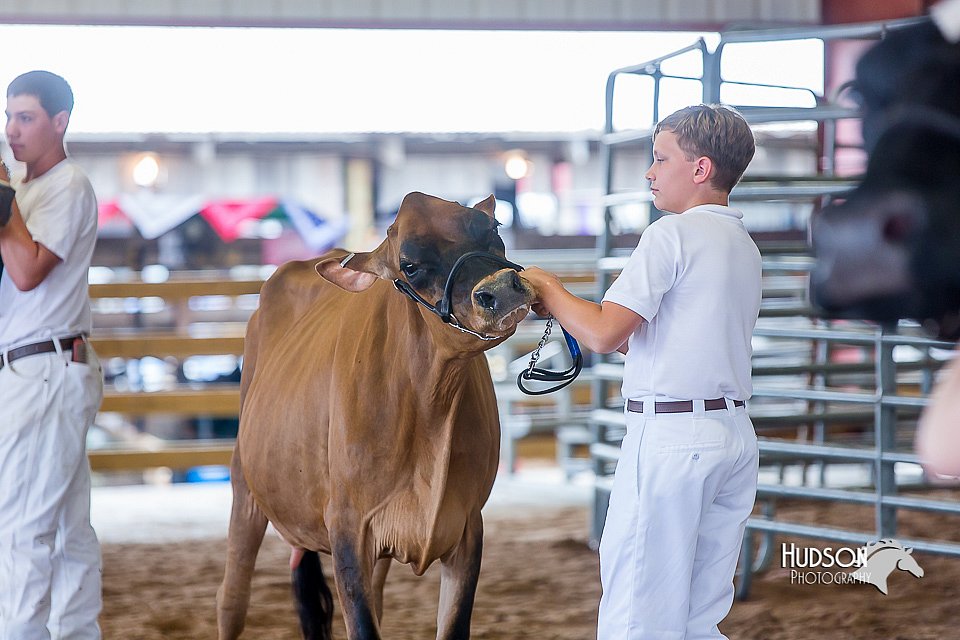 LCFair2016-1131.jpg