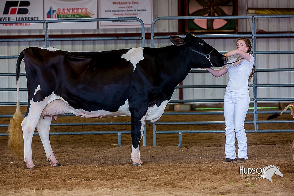 LCFair2016-1141.jpg