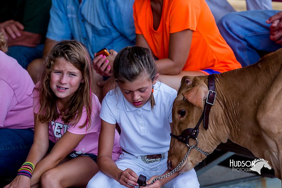 LCFair2016-1162.jpg