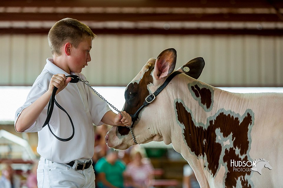 LCFair2016-1207.jpg