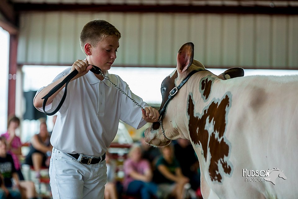 LCFair2016-1208.jpg