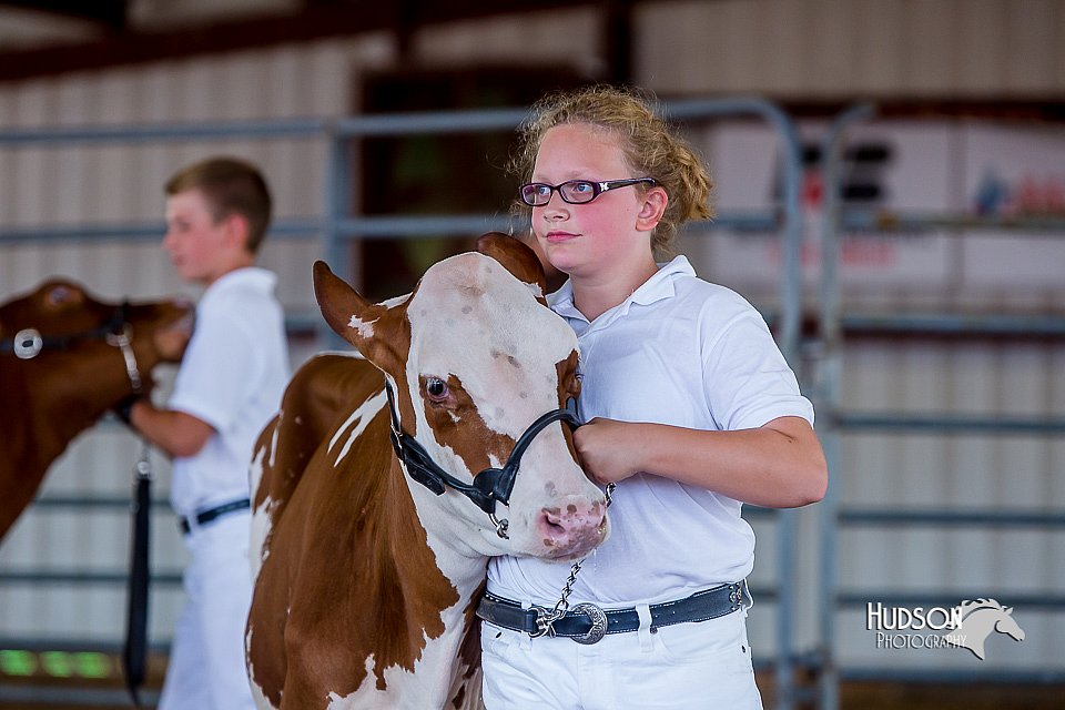 LCFair2016-1209.jpg