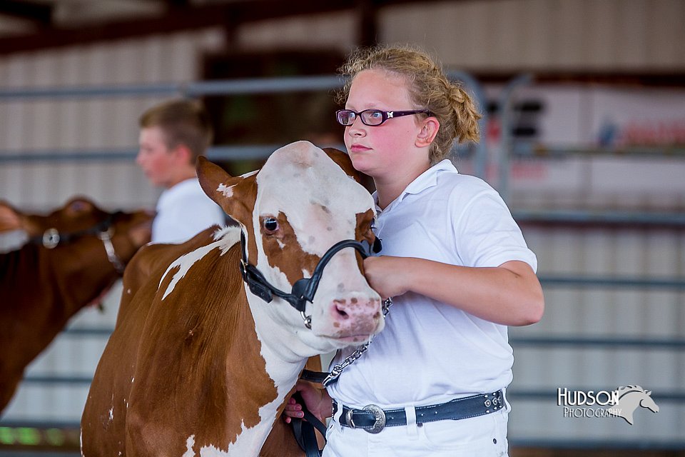 LCFair2016-1210.jpg