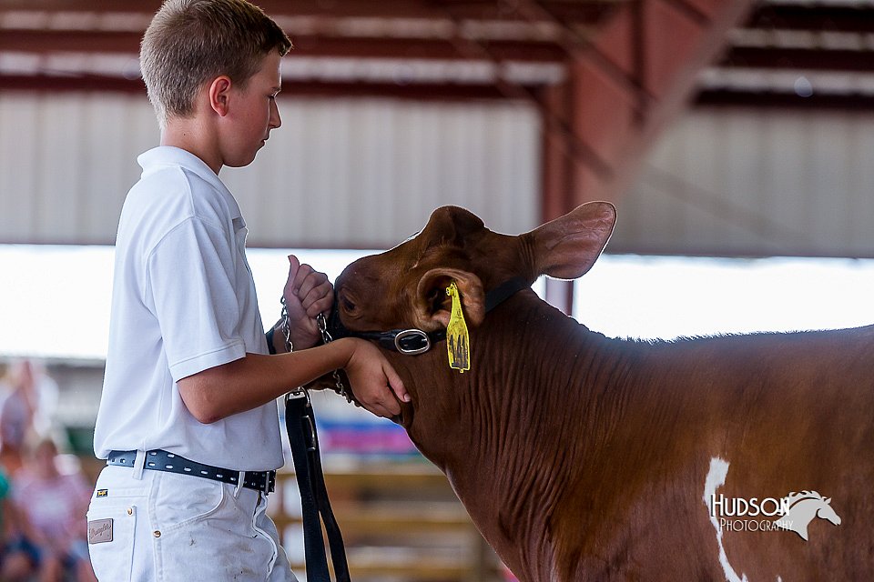 LCFair2016-1211.jpg