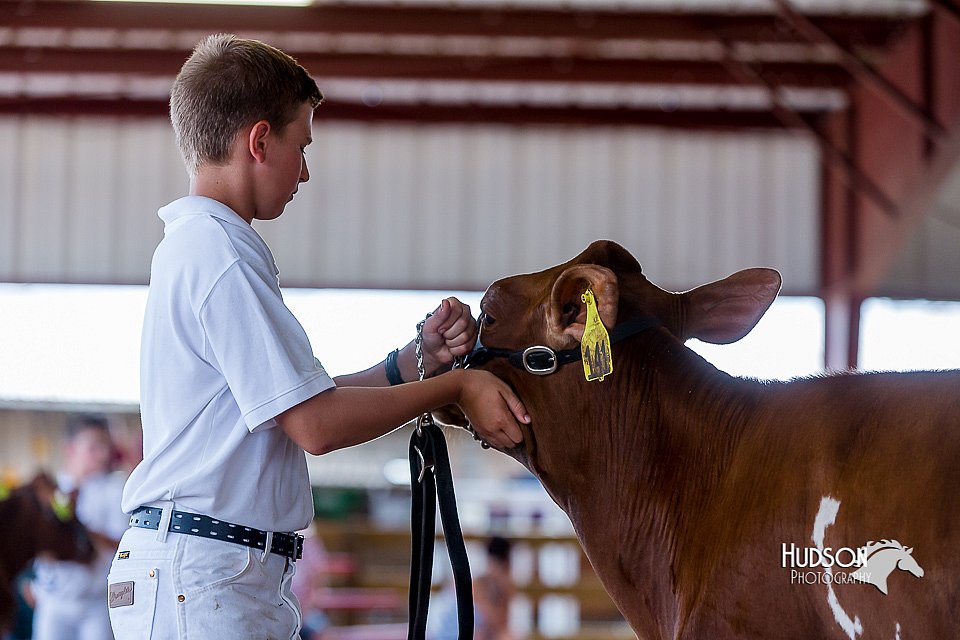 LCFair2016-1212.jpg