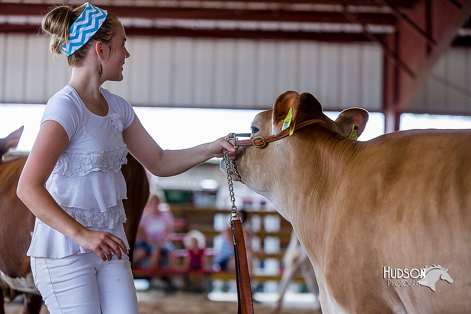 LCFair2016-1214.jpg