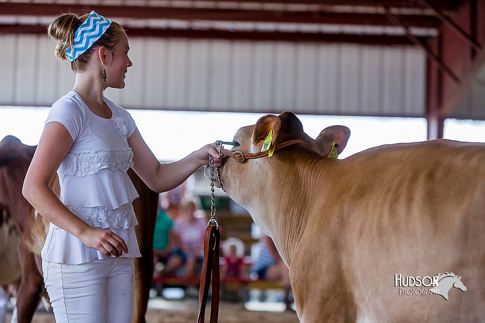 LCFair2016-1215.jpg