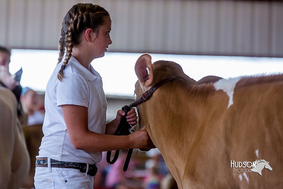 LCFair2016-1216.jpg