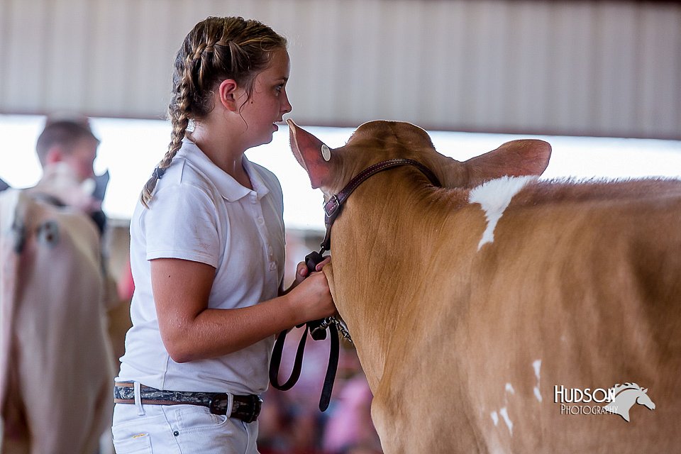 LCFair2016-1217.jpg