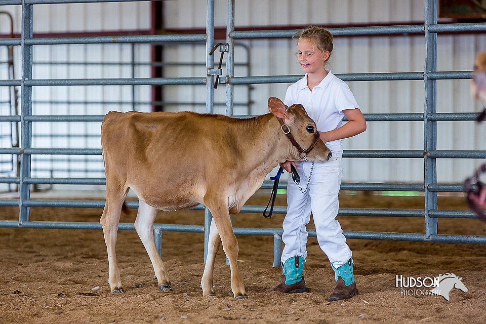 LCFair2016-1245.jpg