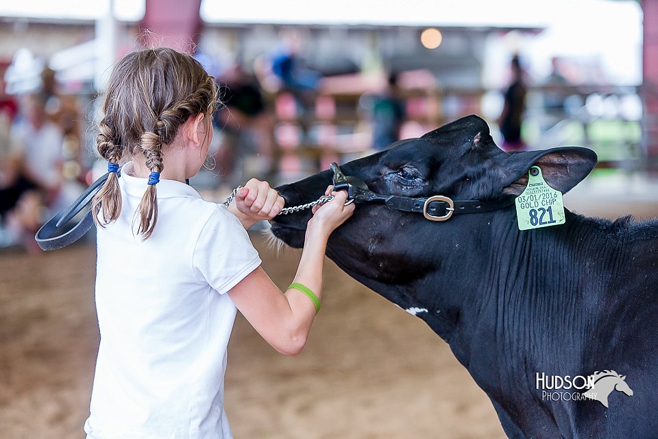 LCFair2016-1264.jpg