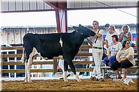 LCFair2016-1081.jpg