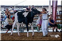 LCFair2016-1105.jpg